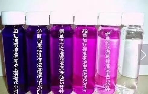 金龍魚專用藥水族疾病治療殺菌