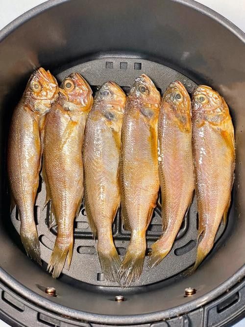 金龍魚和小黃魚有什么區別 金龍魚和小黃魚有什么區別 觀賞魚百科 第4張