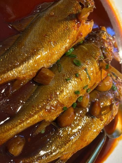 金龍魚和小黃魚有什么區別 金龍魚和小黃魚有什么區別 觀賞魚百科 第5張