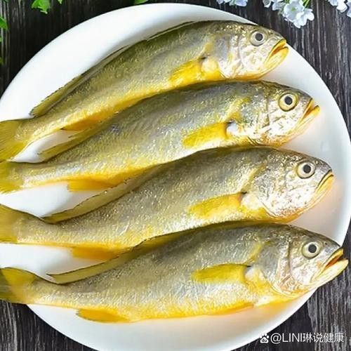 金龍魚和小黃魚有什么區別 金龍魚和小黃魚有什么區別 觀賞魚百科 第1張