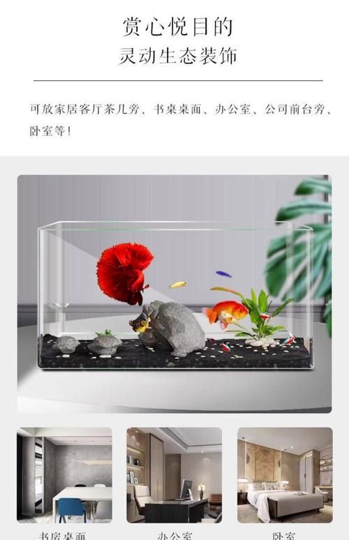 哪些材質的魚缸蓋適合六角龍？