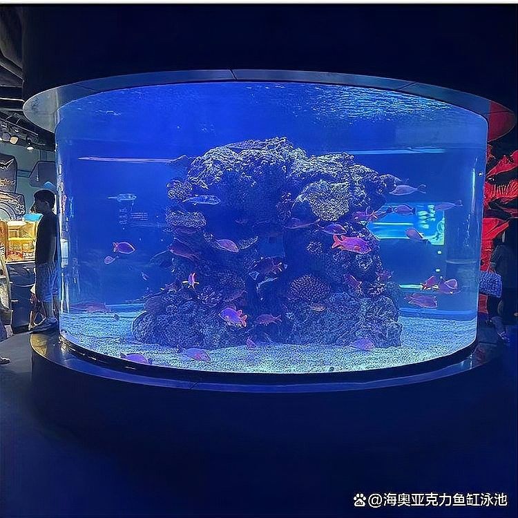 哪些材質的魚缸蓋適合六角龍？