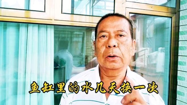 龍魚吃活蝦和冷凍蝦哪個更健康？，活蝦和冷凍蝦哪個更健康？ 龍魚吃活蝦和冷凍蝦哪個更健康？，活蝦和冷凍蝦哪個更健康？ 龍魚百科 第2張