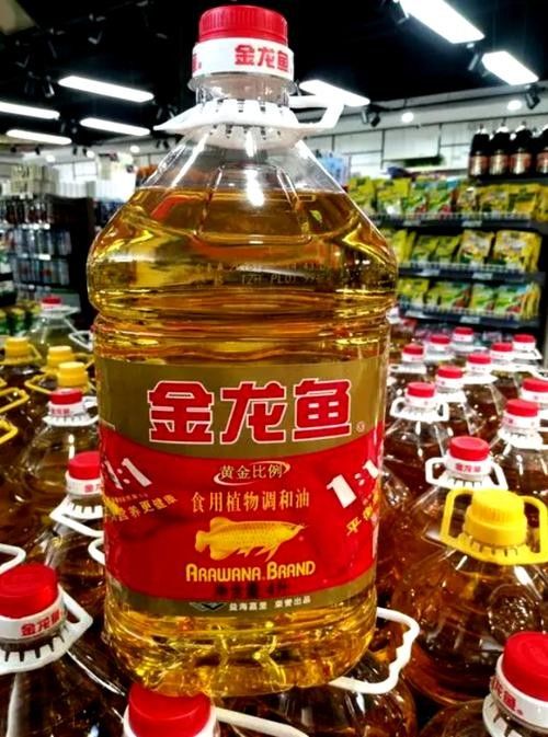 隆化金龍魚（金龍魚是哪個公司的老音客） 隆化金龍魚（金龍魚是哪個公司的老音客） 觀賞魚百科 第5張