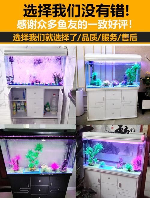 西龍魚缸有哪些型號？（西龍魚缸哪個型號性價比最高西龍魚缸哪個型號性價比最高） 西龍魚缸有哪些型號？（西龍魚缸哪個型號性價比最高西龍魚缸哪個型號性價比最高） 龍魚百科 第5張