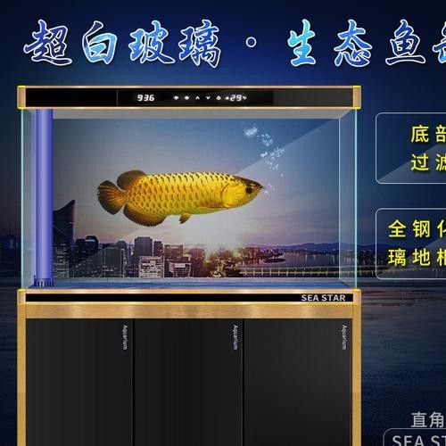 西龍魚缸有哪些型號？（西龍魚缸哪個型號性價比最高西龍魚缸哪個型號性價比最高） 西龍魚缸有哪些型號？（西龍魚缸哪個型號性價比最高西龍魚缸哪個型號性價比最高） 龍魚百科 第6張