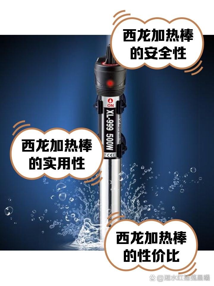 西龍魚缸有哪些型號？（西龍魚缸哪個型號性價比最高西龍魚缸哪個型號性價比最高） 西龍魚缸有哪些型號？（西龍魚缸哪個型號性價比最高西龍魚缸哪個型號性價比最高） 龍魚百科 第8張