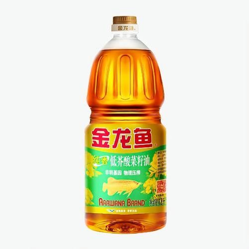 弋江龍魚的繁殖季節是什么時候