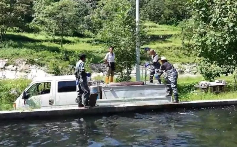 藍田哪個水族館龍魚好？祥龍魚場龍魚 藍田哪個水族館龍魚好？祥龍魚場龍魚 龍魚百科 第7張