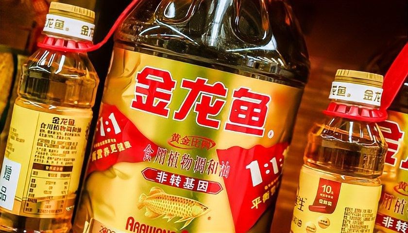 金龍魚未來有無重大投資項目？