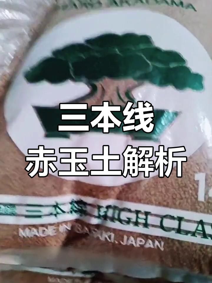 日本赤玉土品牌 日本赤玉土品牌 觀賞魚百科 第2張