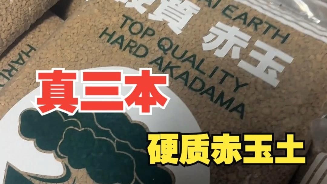 日本赤玉土品牌 日本赤玉土品牌 觀賞魚百科 第1張