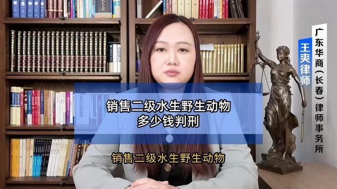 個人轉讓金龍魚需要哪些手續（個人轉讓金龍魚需要什么手續）