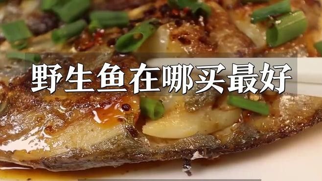 個人轉讓金龍魚需要哪些手續（個人轉讓金龍魚需要什么手續）