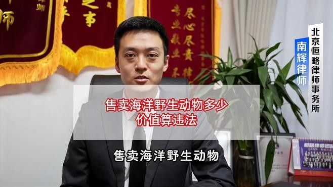 個人轉讓金龍魚需要哪些手續（個人轉讓金龍魚需要什么手續）