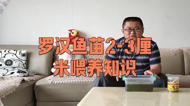 羅漢魚多久喂一次？ 羅漢魚多久喂一次？ 龍魚百科 第1張