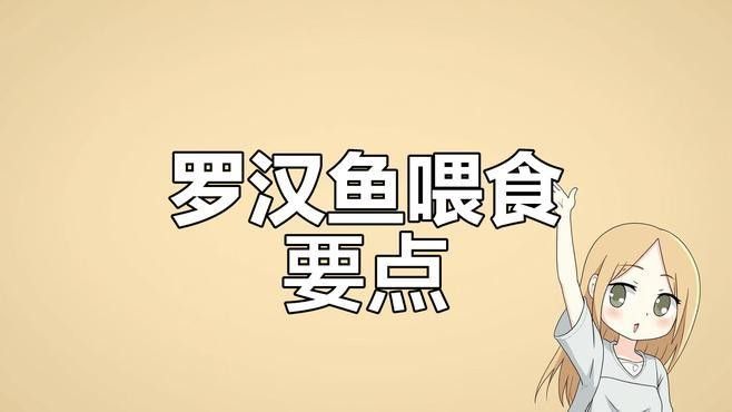 羅漢魚多久喂一次？ 羅漢魚多久喂一次？ 龍魚百科 第2張