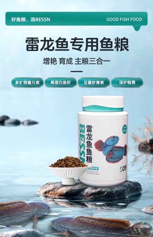 哪種品牌的雷龍魚飼料最好 哪種品牌的雷龍魚飼料最好 龍魚百科 第6張