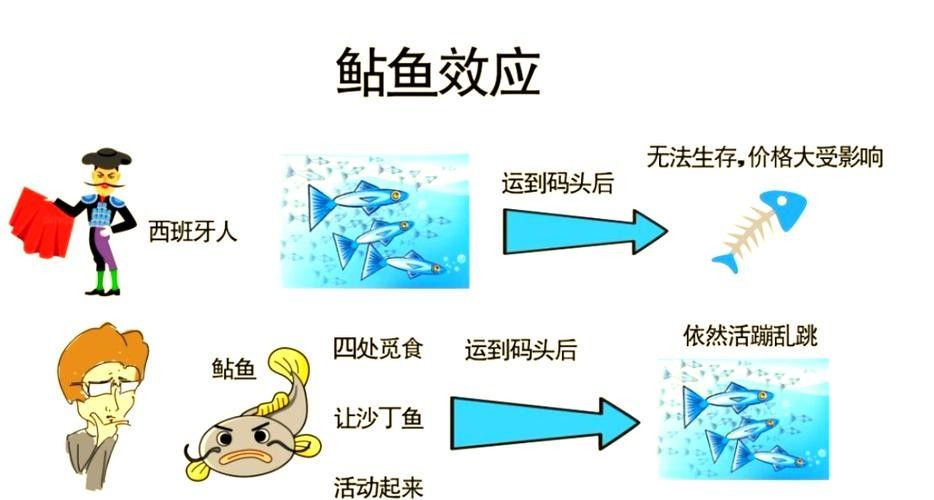 如何減少雷龍魚之間的爭斗？
