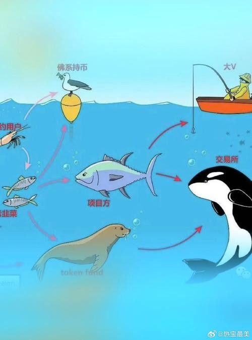 如何減少雷龍魚之間的爭斗？
