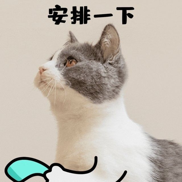 哪里可以找到紅龍微信頭像（如何找到紅龍微信頭像）