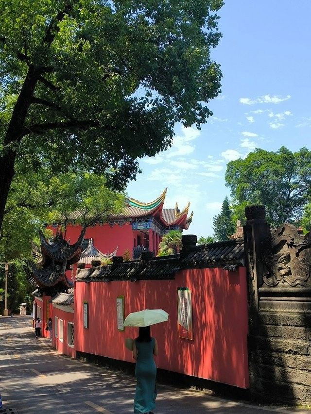 金龍魚米未來有何轉(zhuǎn)型計劃,金龍魚米將加大研發(fā)投入 龍魚百科 第2張 金龍魚米未來有何轉(zhuǎn)型計劃,金龍魚米將加大研發(fā)投入 金龍魚米未來有何轉(zhuǎn)型計劃,金龍魚米將加大研發(fā)投入 龍魚百科 第2張