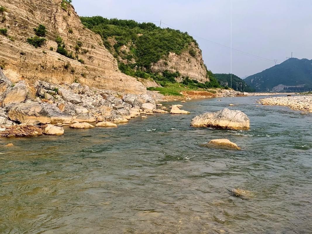 易縣釣魚 觀賞魚百科 第1張 易縣釣魚 易縣釣魚 觀賞魚百科 第1張