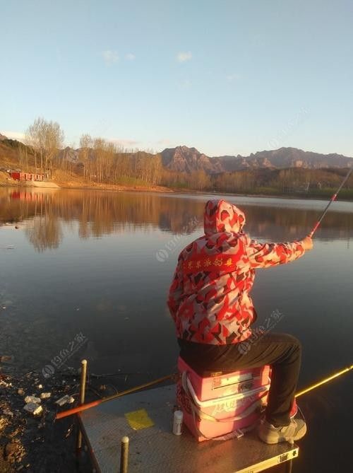 易縣釣魚 觀賞魚百科 第3張 易縣釣魚 易縣釣魚 觀賞魚百科 第3張