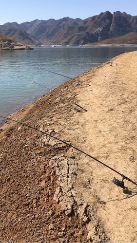 易縣釣魚 觀賞魚百科 第2張 易縣釣魚 易縣釣魚 觀賞魚百科 第2張