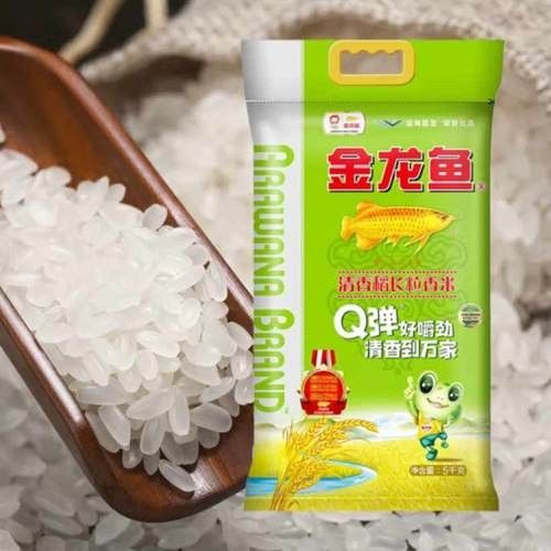稷山金龍魚屬于什么檔次 稷山金龍魚屬于什么檔次 觀賞魚百科 第6張
