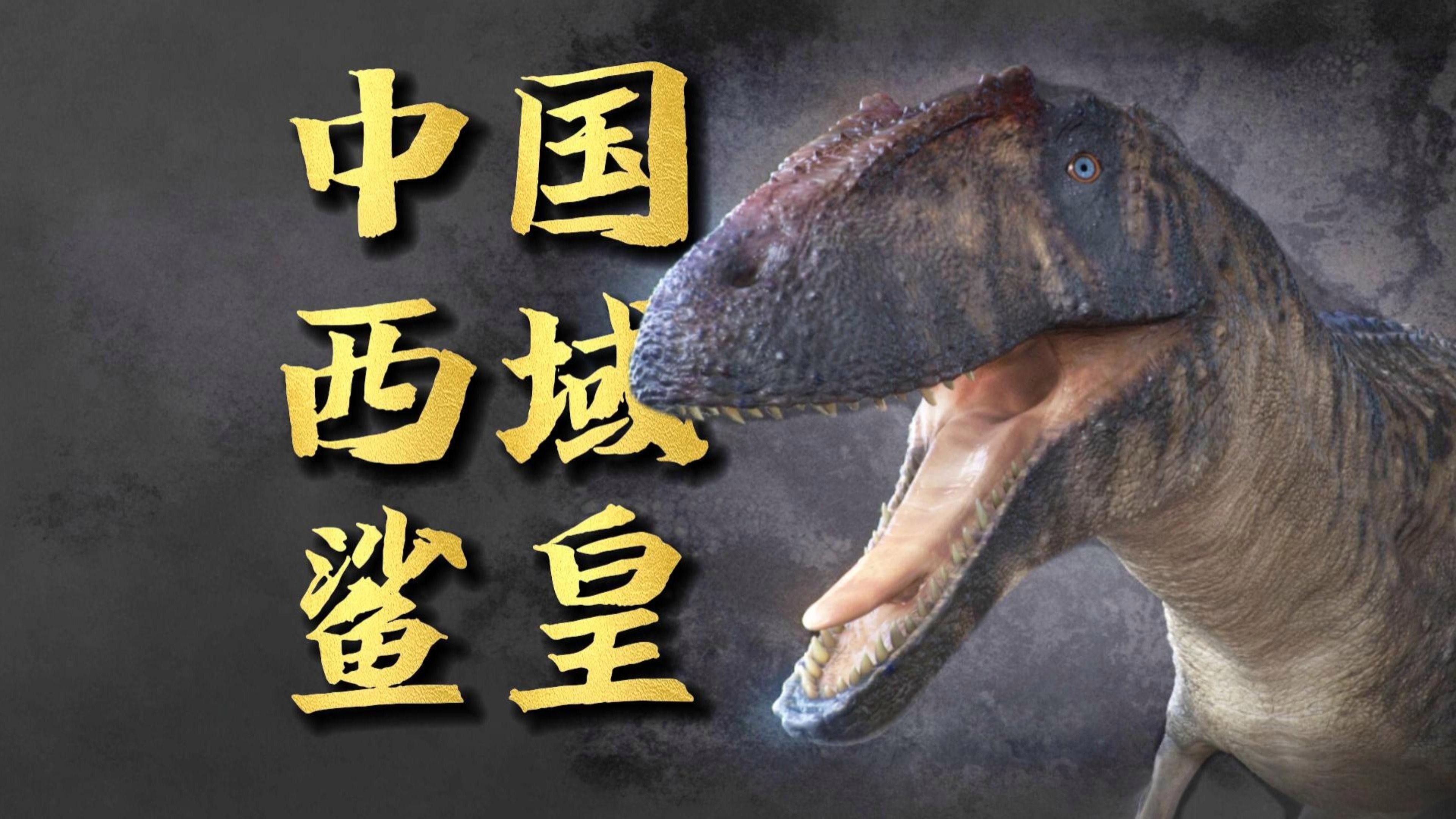克拉瑪依龍 克拉瑪依龍 觀賞魚百科 第1張