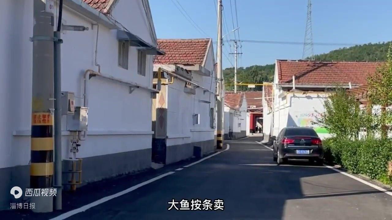 山東淄博金魚(yú)養(yǎng)殖基地（山東淄博金魚(yú)養(yǎng)殖基地位于中國(guó)山東省淄博市周村區(qū)王村鎮(zhèn)寧家村）