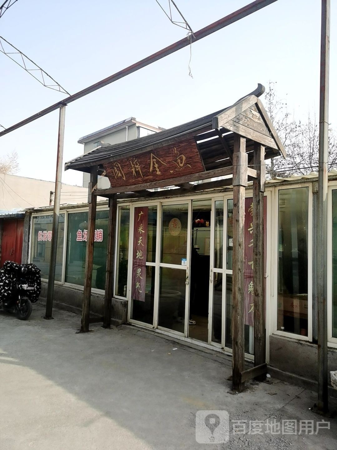 山東淄博金魚(yú)養(yǎng)殖基地（山東淄博金魚(yú)養(yǎng)殖基地位于中國(guó)山東省淄博市周村區(qū)王村鎮(zhèn)寧家村）