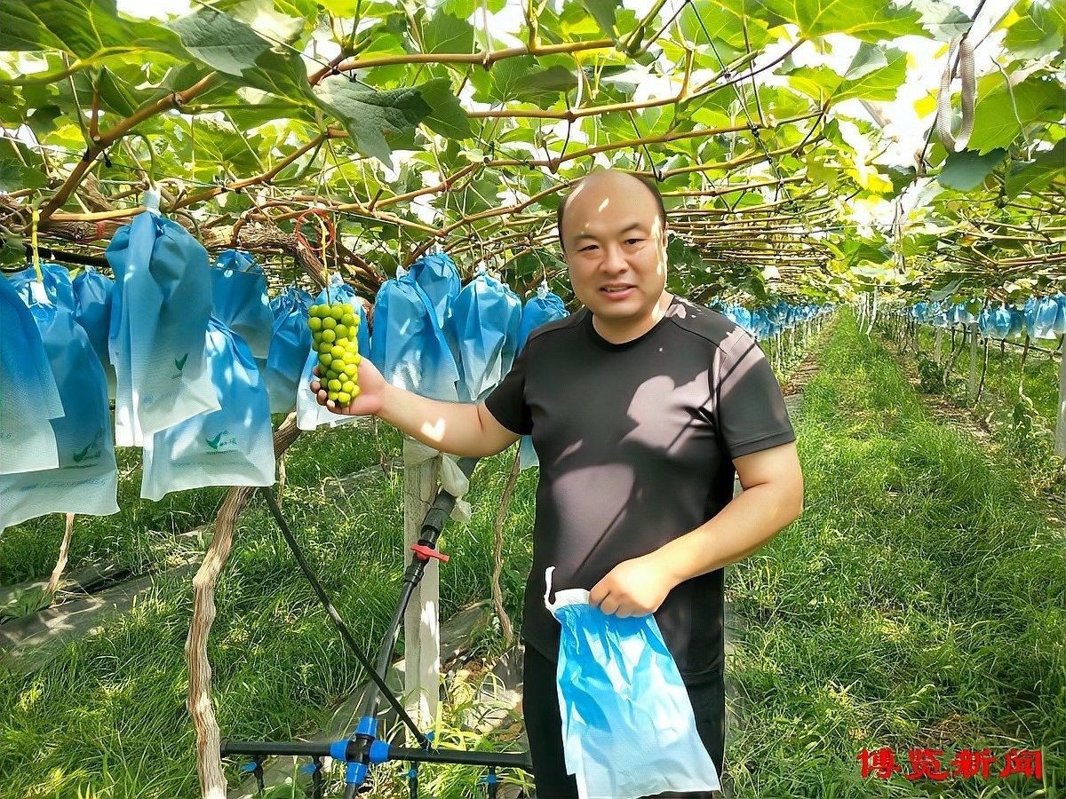 山東淄博金魚(yú)養(yǎng)殖基地（山東淄博金魚(yú)養(yǎng)殖基地位于中國(guó)山東省淄博市周村區(qū)王村鎮(zhèn)寧家村）