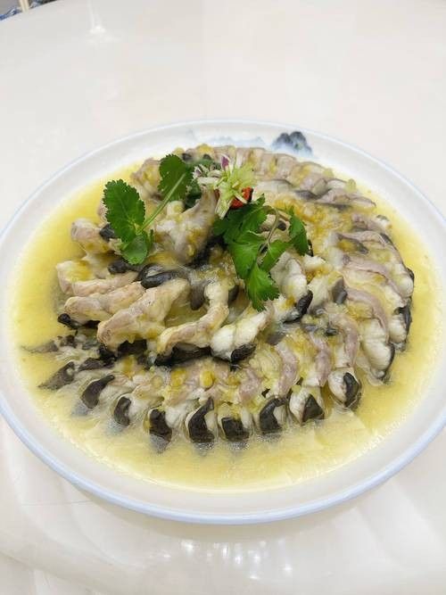 潮汕龍魚有哪些經典搭配（潮汕龍魚的經典搭配）