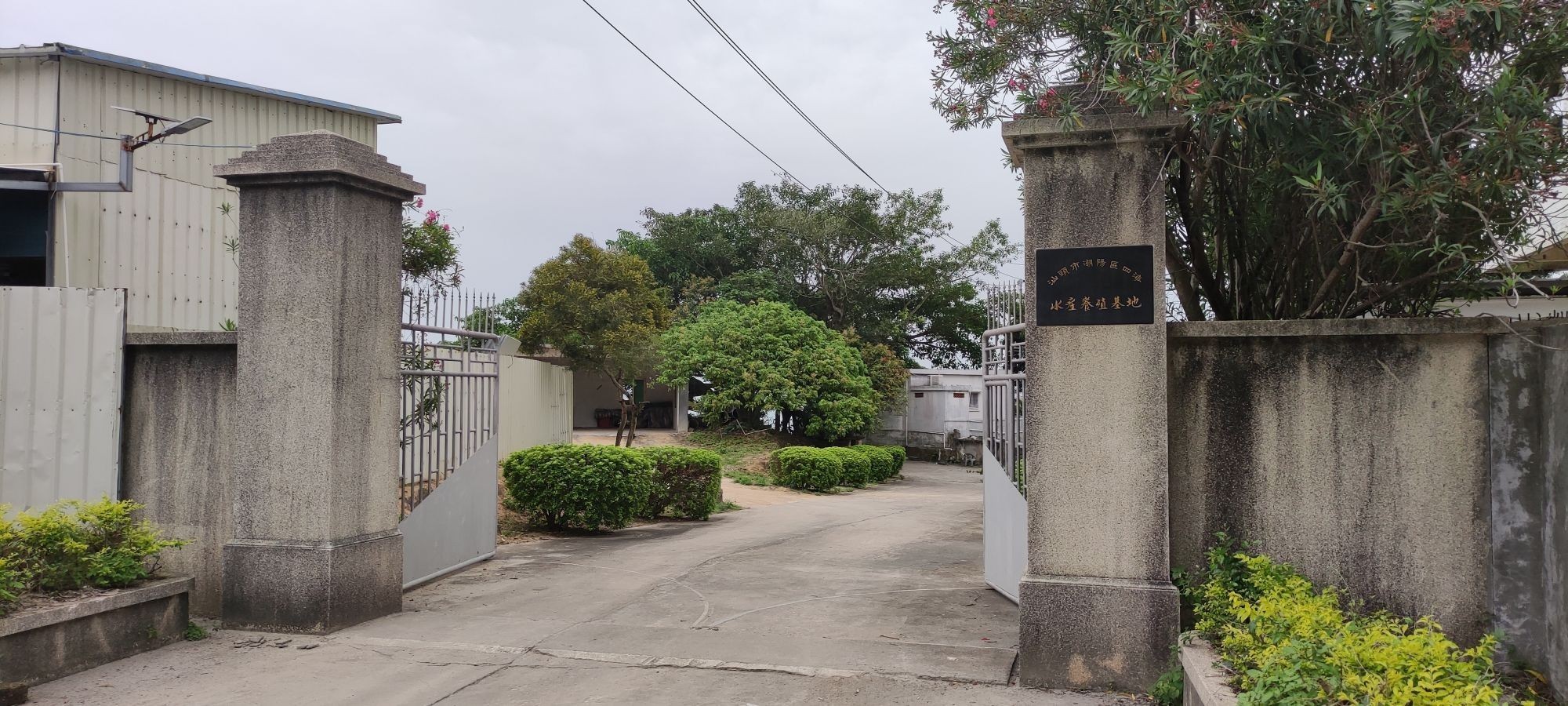 潮陽(yáng)龍魚(yú)（汕頭潮陽(yáng)龍魚(yú)百度地圖-景點(diǎn)百度地圖-） 潮陽(yáng)龍魚(yú)（汕頭潮陽(yáng)龍魚(yú)百度地圖-景點(diǎn)百度地圖-） 觀賞魚(yú)百科 第1張