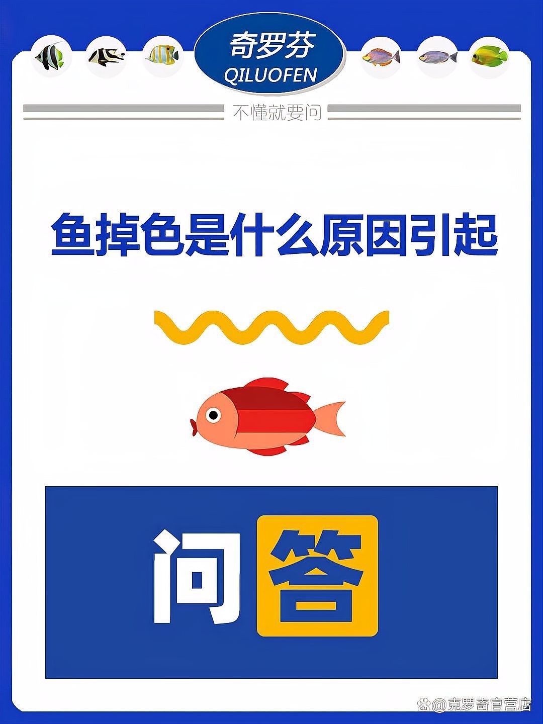如何判斷金龍魚是否停止發(fā)色（如何判斷金龍魚是否停止發(fā)色是一個值得探討的問題） 如何判斷金龍魚是否停止發(fā)色（如何判斷金龍魚是否停止發(fā)色是一個值得探討的問題） 龍魚百科 第10張