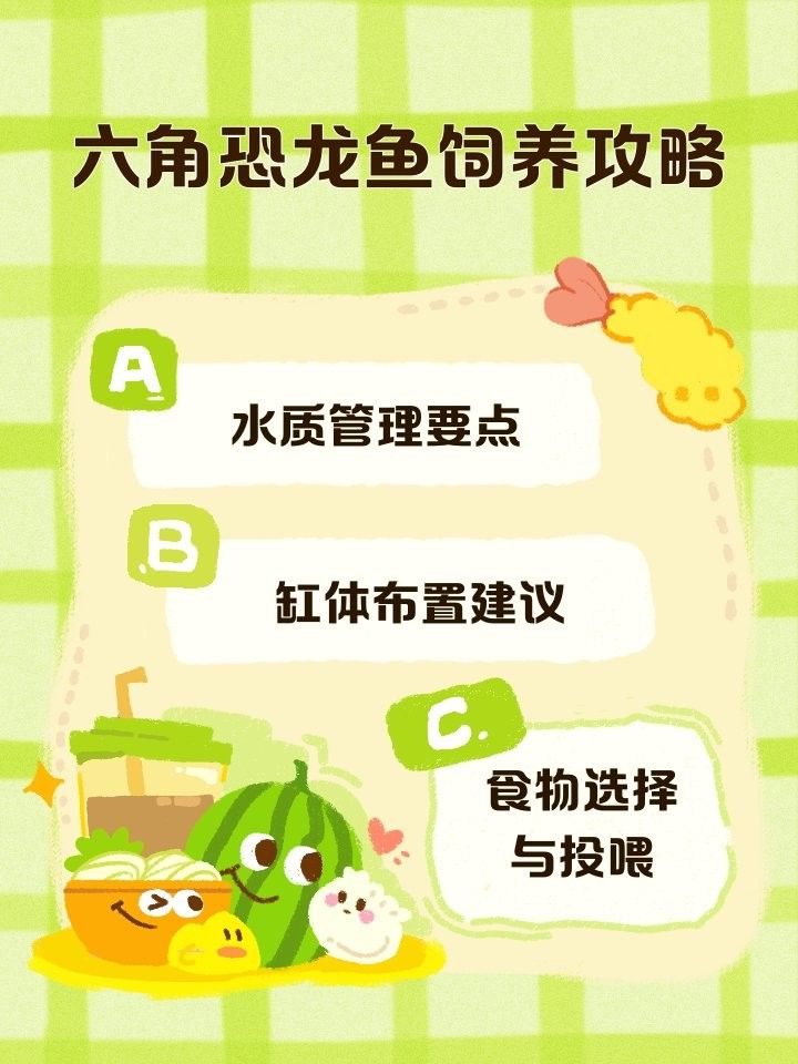 六角龍魚換水后多久喂食？（六角恐龍魚換水后多久喂食六角恐龍魚不吃食解決攻略）