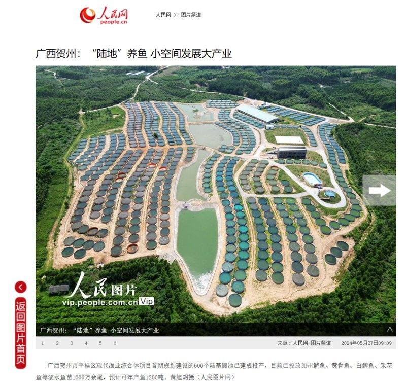 賀州市龍魚市場的規(guī)模如何（賀州市龍魚市場的未來發(fā)展趨勢如何賀州市龍魚市場發(fā)展趨勢）
