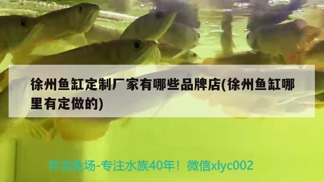 徐州森森魚(yú)缸專賣店（徐州森森魚(yú)缸專賣店魚(yú)缸養(yǎng)護(hù)技巧分享森森魚(yú)缸專賣店） 徐州森森魚(yú)缸專賣店（徐州森森魚(yú)缸專賣店魚(yú)缸養(yǎng)護(hù)技巧分享森森魚(yú)缸專賣店） 觀賞魚(yú)百科 第2張