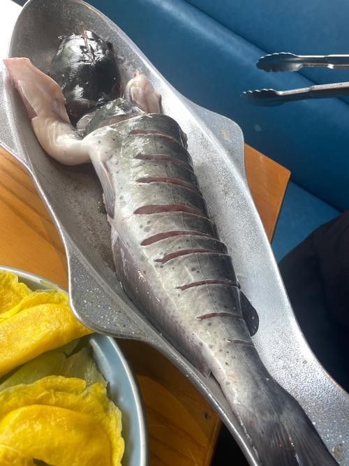 墊江哪里魚好吃（墊江哪里魚好吃，）