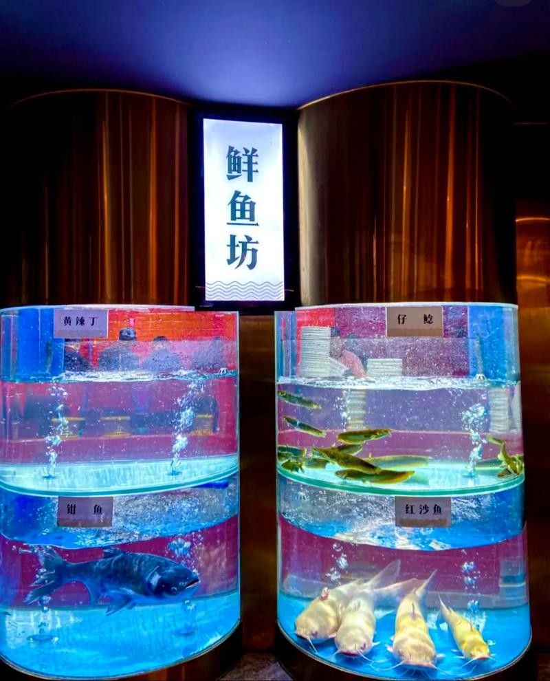 墊江哪里魚好吃（墊江哪里魚好吃，）