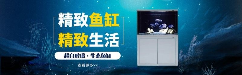如何聯系寶鉆龍魚缸廠家？（如何聯系寶鉆龍魚缸廠家）