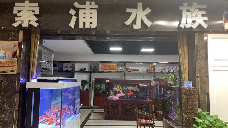 如何聯系寶鉆龍魚缸廠家？（如何聯系寶鉆龍魚缸廠家）