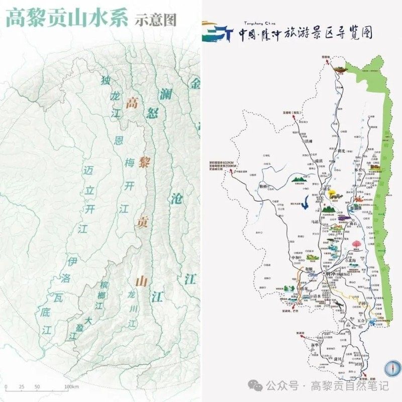 龍騰魚長在什么位置（“龍騰魚長在什么位置”似乎是一個比喻或象征性的表達）