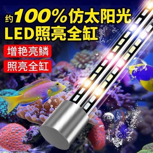 龍魚燈架和潛水燈哪個(gè)更節(jié)能（魚燈架和潛水燈在節(jié)能方面各有優(yōu)勢(shì)但具體選擇取決于使用場(chǎng)景和個(gè)人偏好）