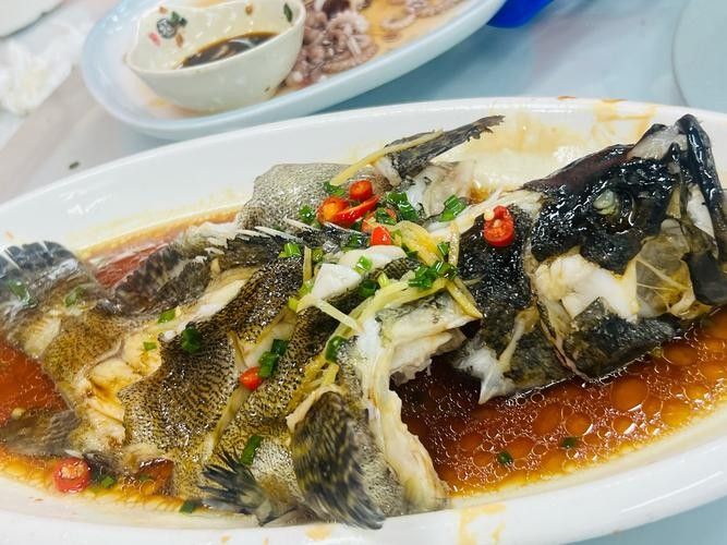 鎮江龍魚和龍躉的區別（鎮江龍魚和龍躉哪個更大？）