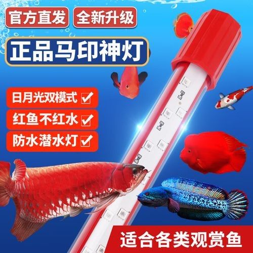 馬印神燈水族箱（馬印神燈水族箱燈三基色增色燈） 馬印神燈水族箱（馬印神燈水族箱燈三基色增色燈） 觀賞魚百科 第1張