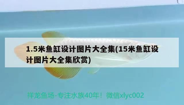1.5米魚缸設(shè)計(jì)圖片大全集(15米魚缸設(shè)計(jì)圖片大全集欣賞)（1.5米魚缸設(shè)計(jì)圖片大全集）