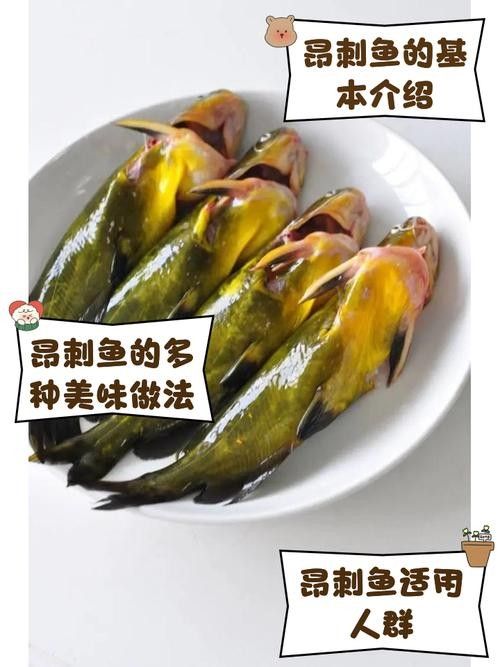 安次魚(yú)圖片（如何區(qū)分不同品種的安次魚(yú)？） 安次魚(yú)圖片（如何區(qū)分不同品種的安次魚(yú)？） 觀賞魚(yú)百科 第2張